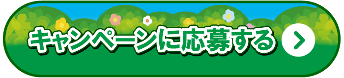 キャンペーンに応募する