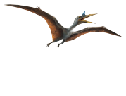 PAGE TOP