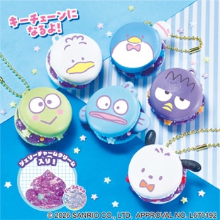 Hapidanbui マカロンセット